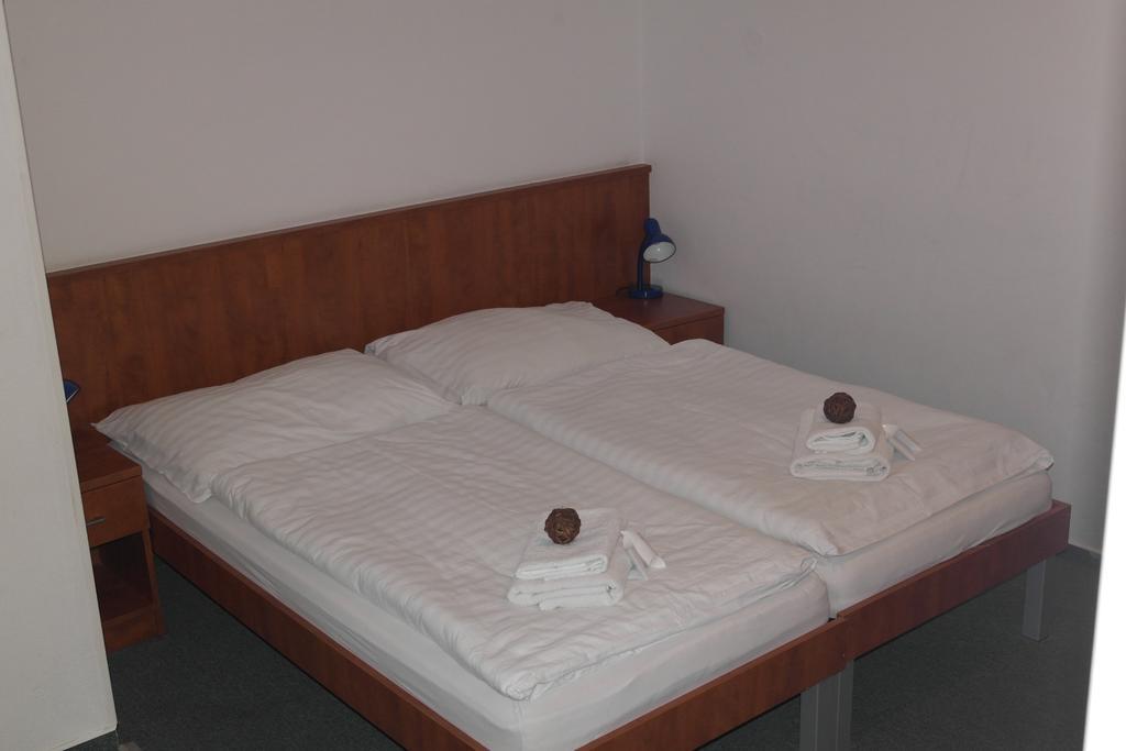 Wellness Hotel Harrachovka Room photo